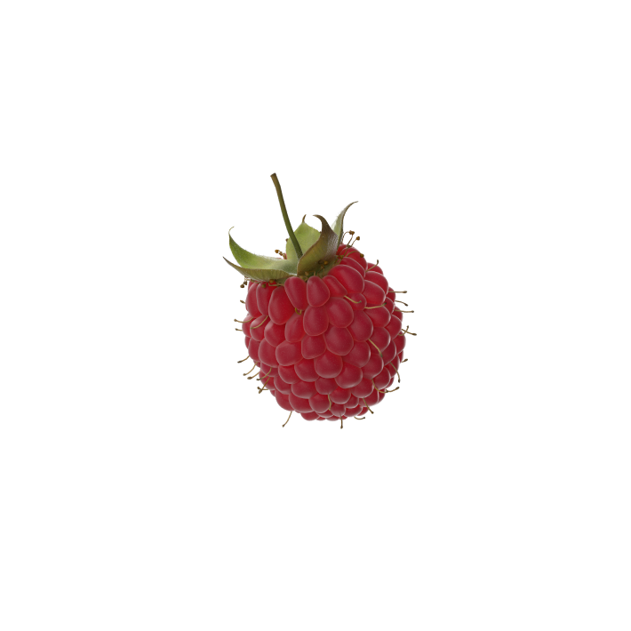 Decoration Image