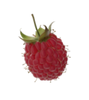 Raspberry