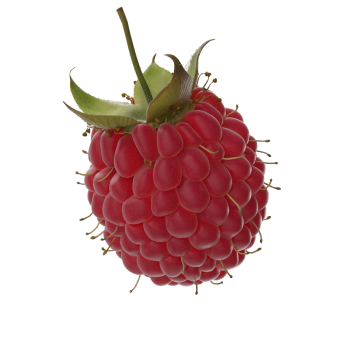 Raspberry fruit decoration
