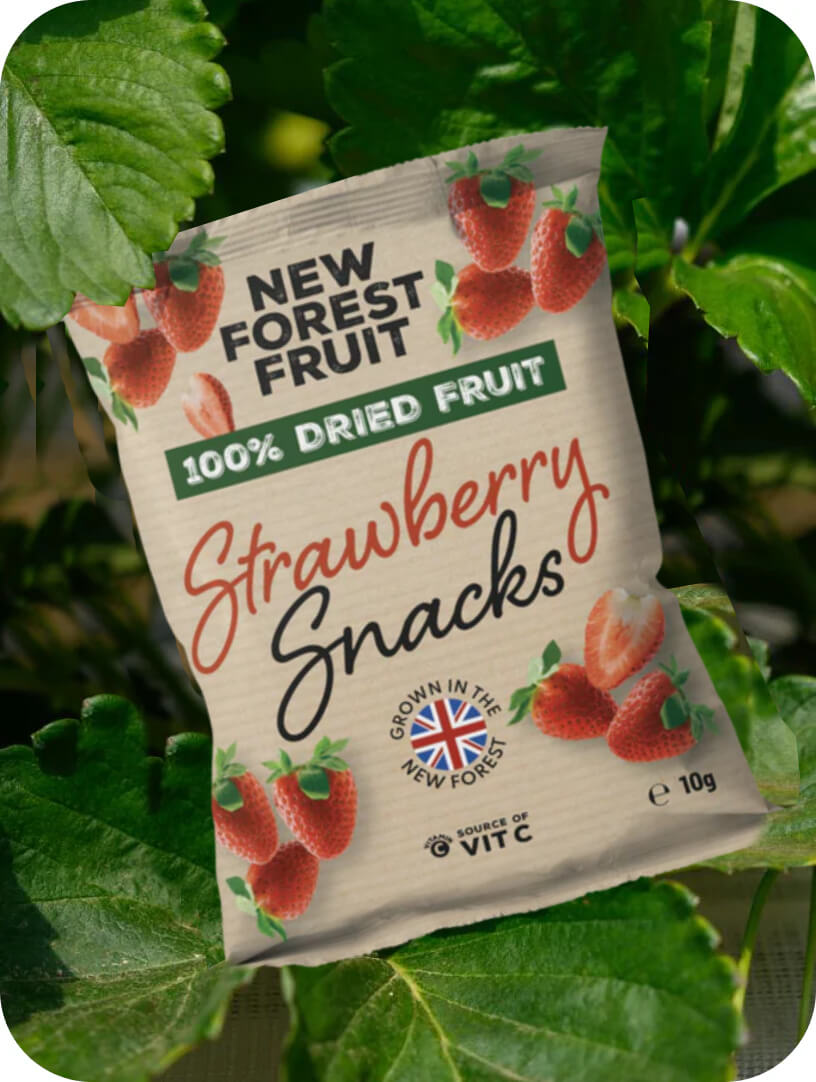 Forest Snacks About New Forest Fruit Snacks - Pulse Dried Fruit Snacks