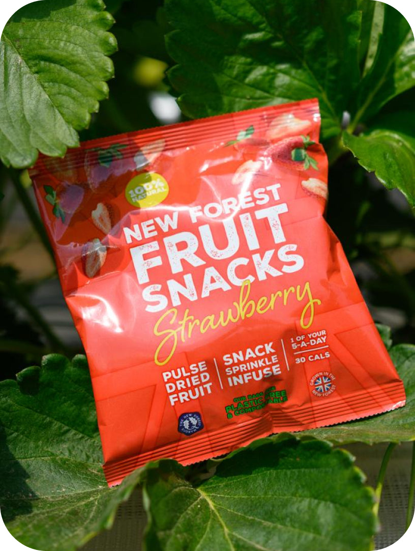 A bag of Strawberry flavoured New Forest Fruit Snacks resting on a strawberry plant.